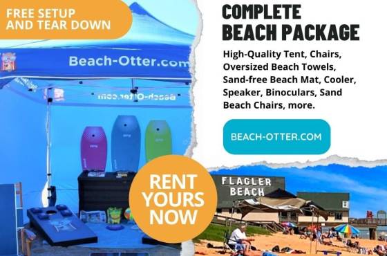 Beach Otter
