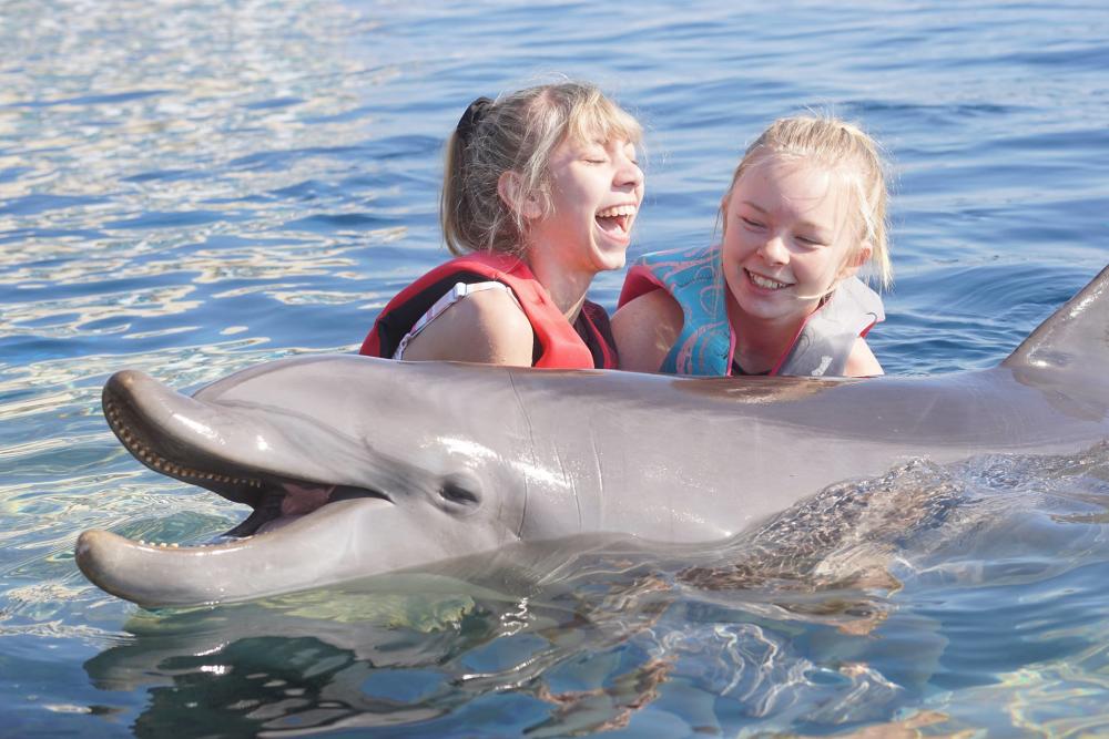 Children with a dolphin at Marineland Dolphin Adventure