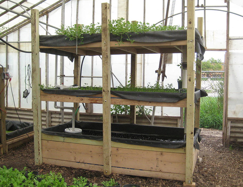 aquaponic garden