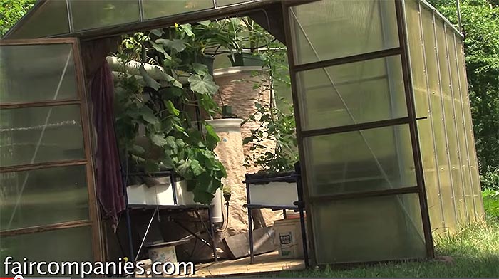 backyard aquaponics system