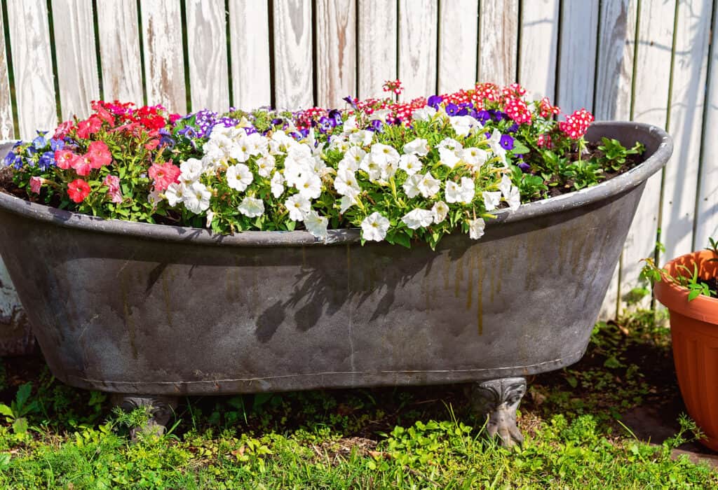 bathtub raised garden bed