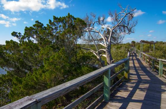 Betty Steflik Memorial Park