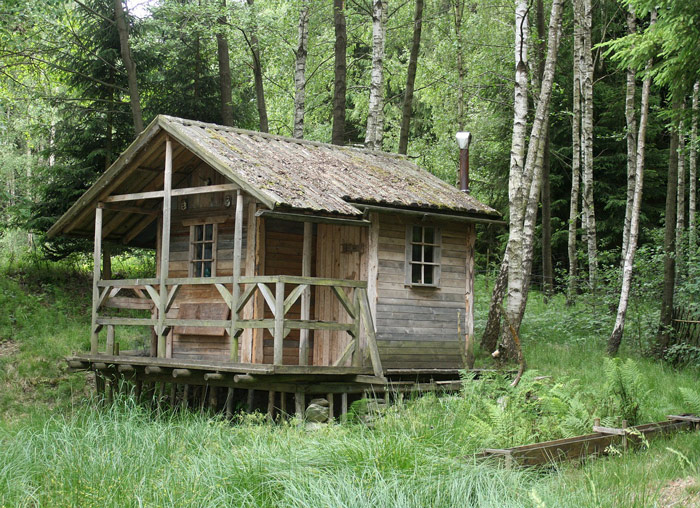 Off grid cabin in the woods