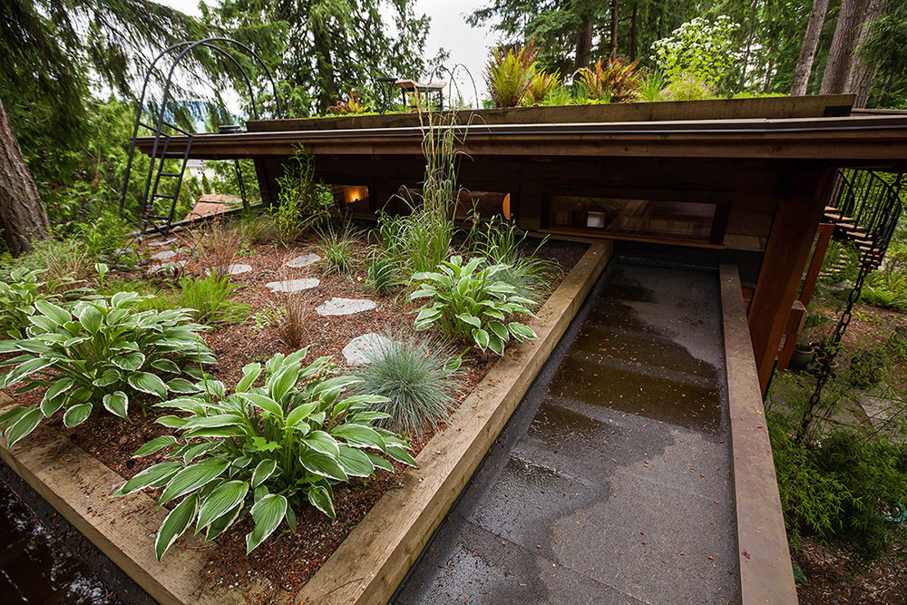 Beautiful living roof