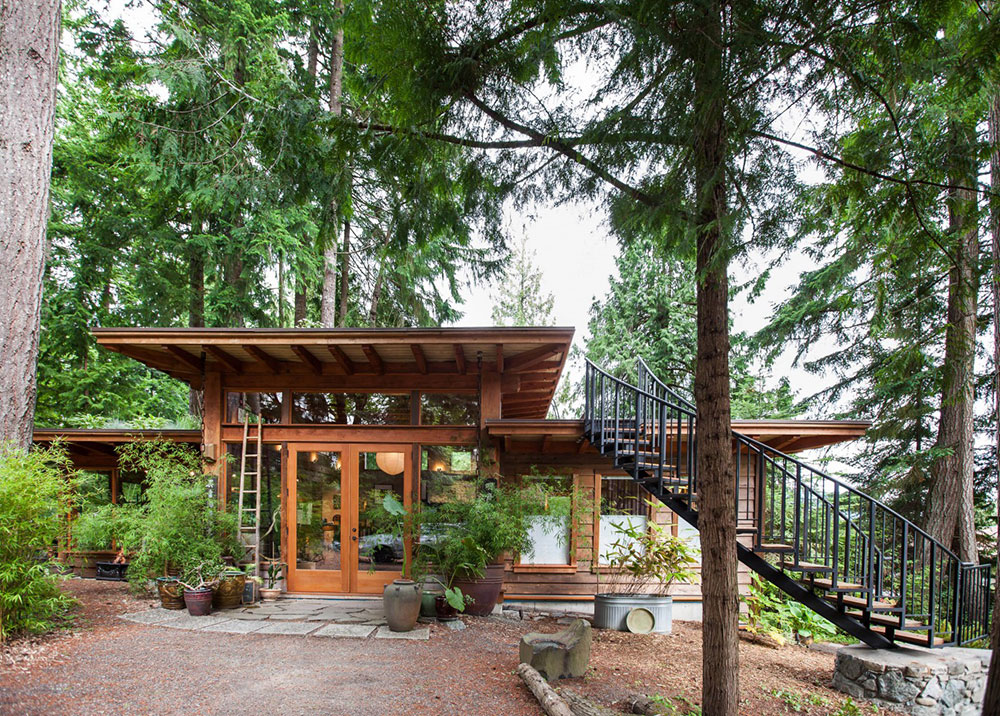 Cabin with living roof