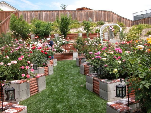 Cinder block raised garden beds