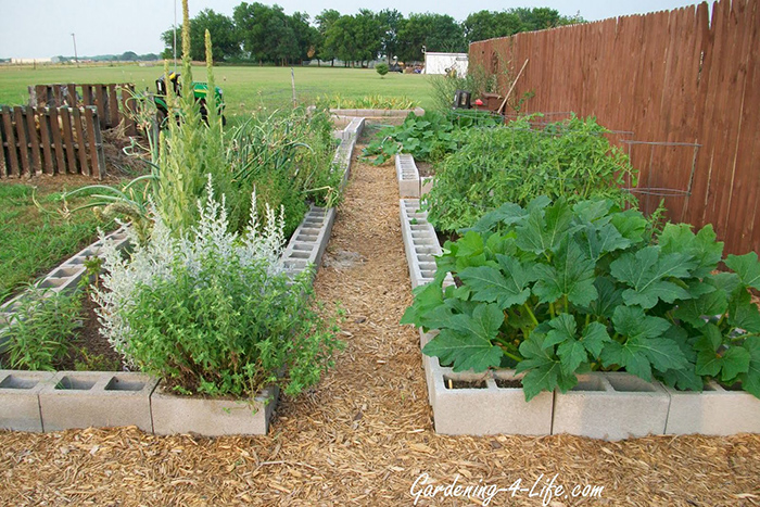 Cinder block raised garden beds