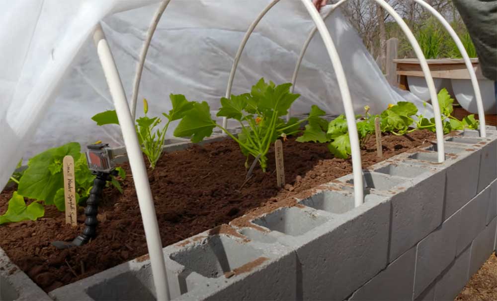 Cinder block hoop house