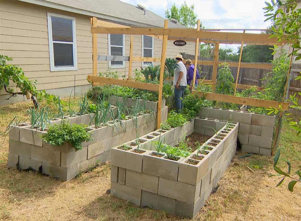 Cinder block raised beds