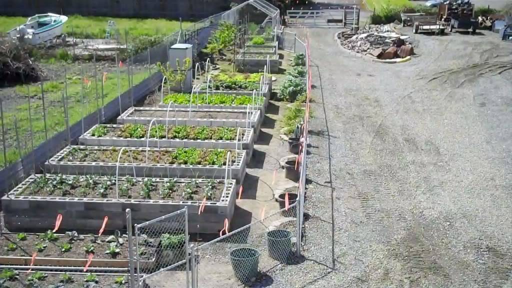 Raised garden beds made with cinder blocks