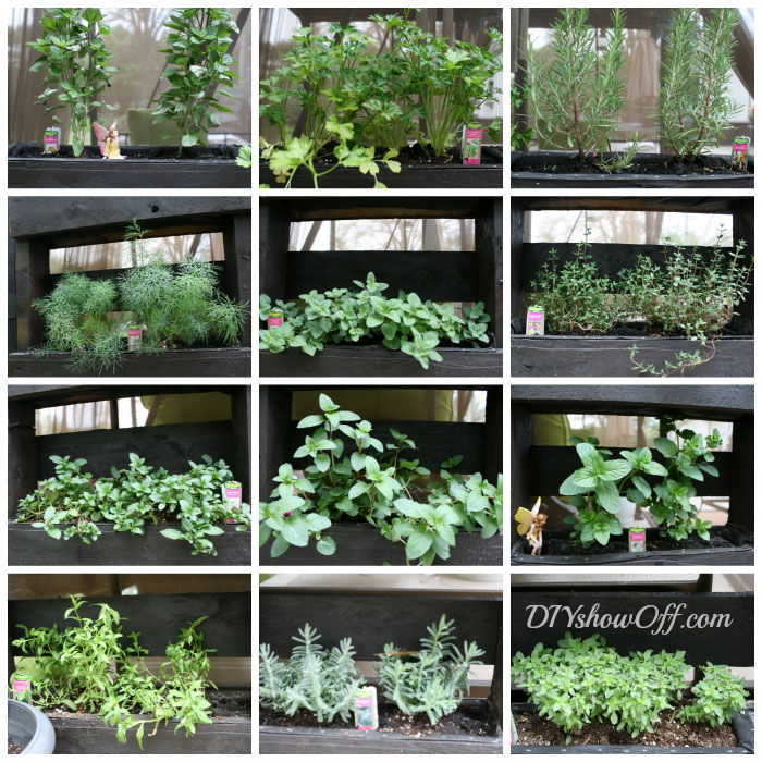 diy-pallet-herb3