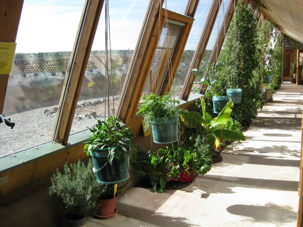 Earthship Inside The Greenhouse