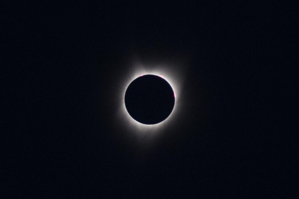 2024 eclipse | www.iamafoodblog.com