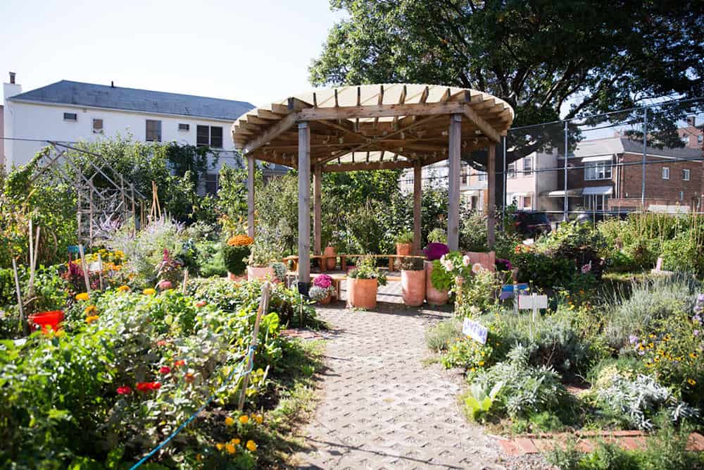 Urban school garden