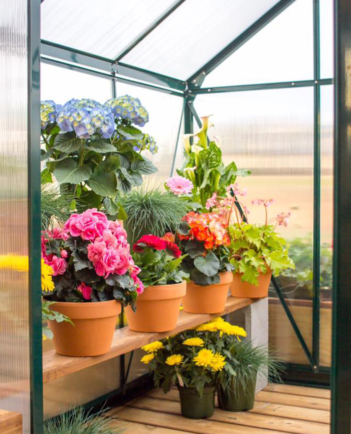 Tiny home with greenhouse