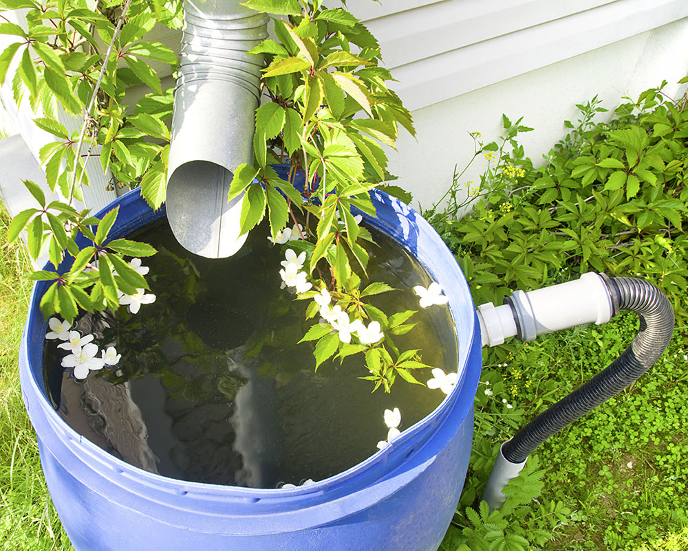 Rain barrel for the garden