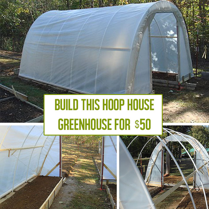 hoop-greenhouse-feat2