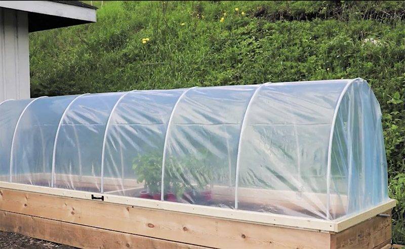 hoop house raised garden