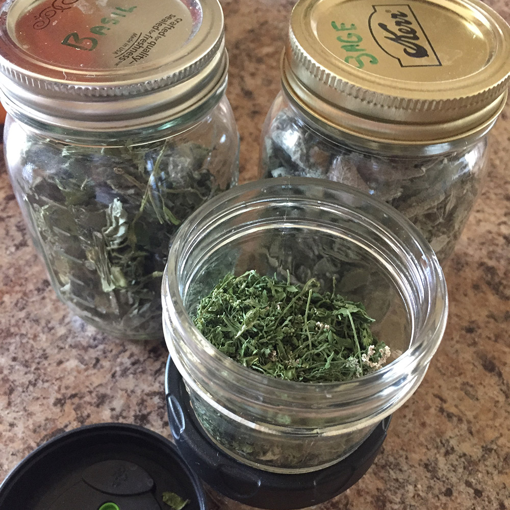 How to dry herbs