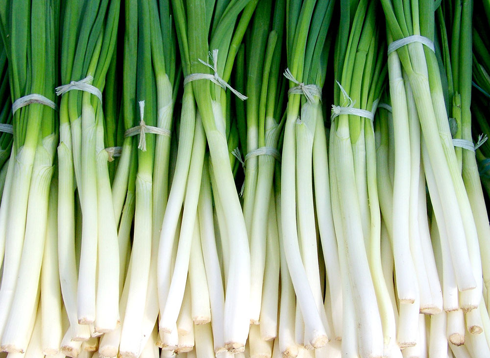 How to preserve green onions