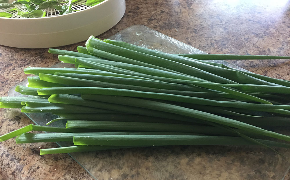 How to preserve green onions