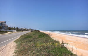 Typical Flagler Beach Sea Dune