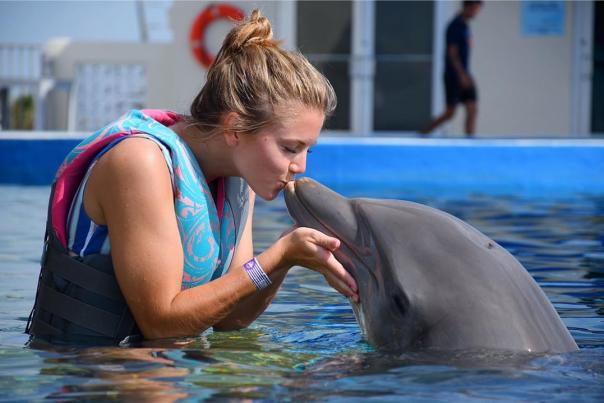 marineland dolphin adventure