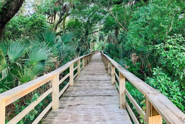 haw creek preserve trail