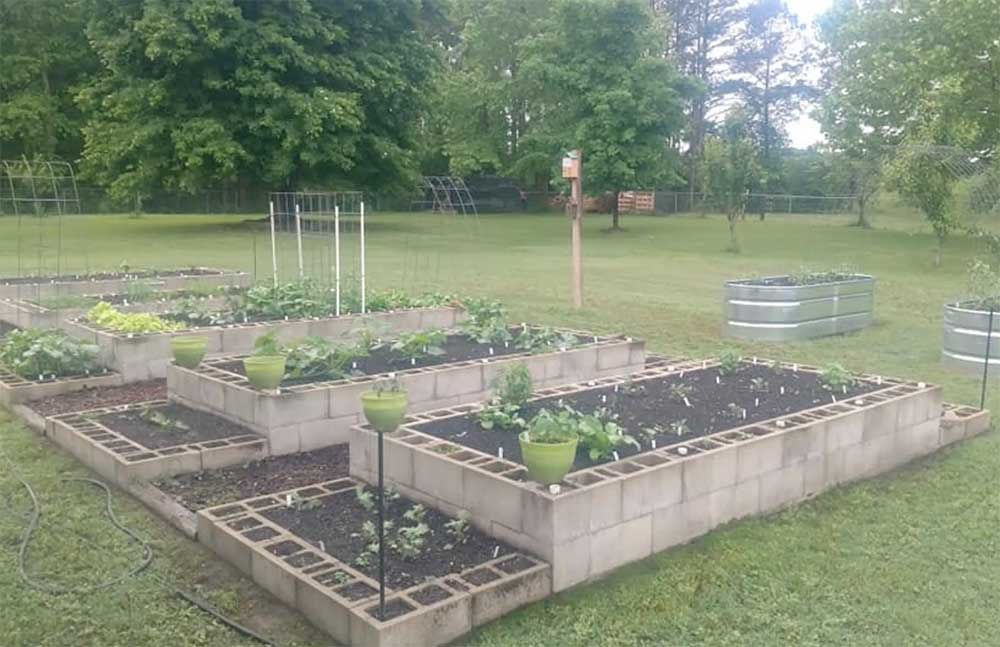 Cinderblock raised garden