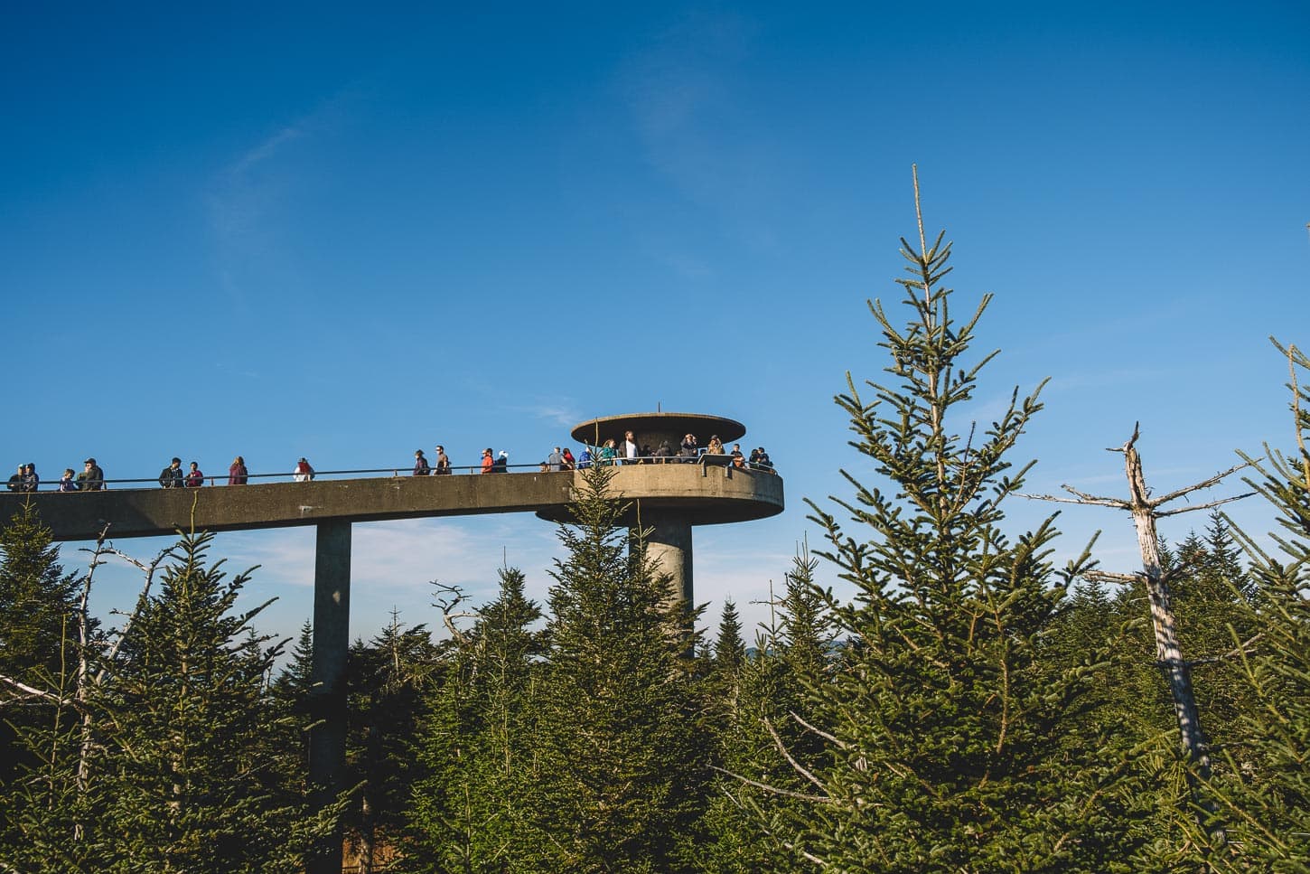clingmans dome | www.iamafoodblog.com