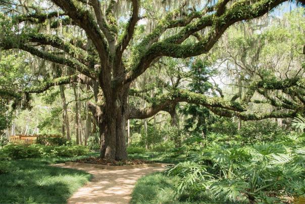 Washington Oaks Gardens