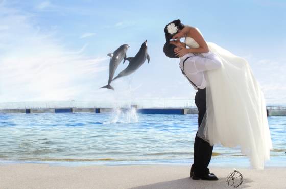 Marineland Wedding