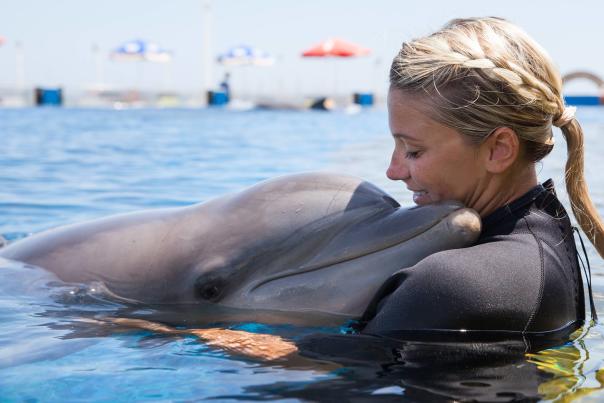 Marineland Dolphin Adventure