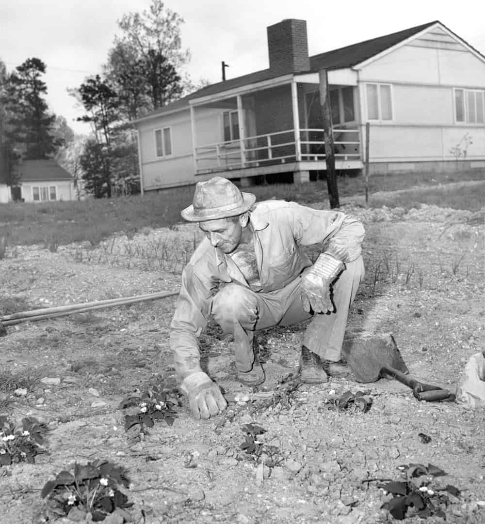 Victory Garden in Tennessee