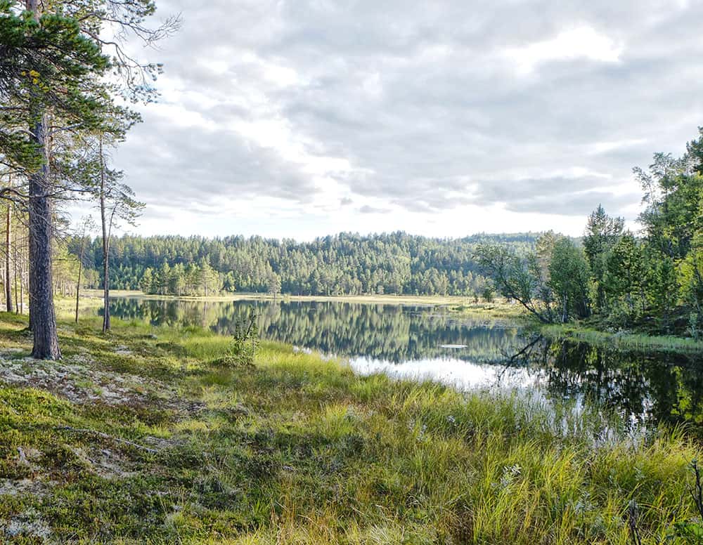 Off grid land with water