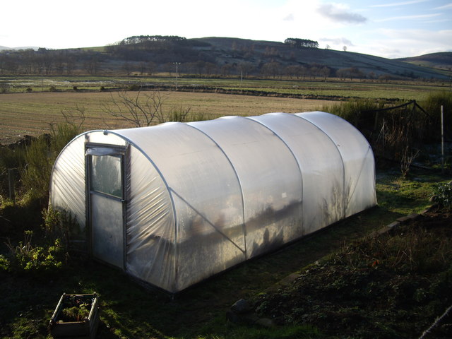 File:Polytunnel 'greenhouse' - geograph.org.uk - 1062225.jpg