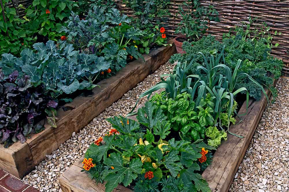 Garden beds made of railroad ties