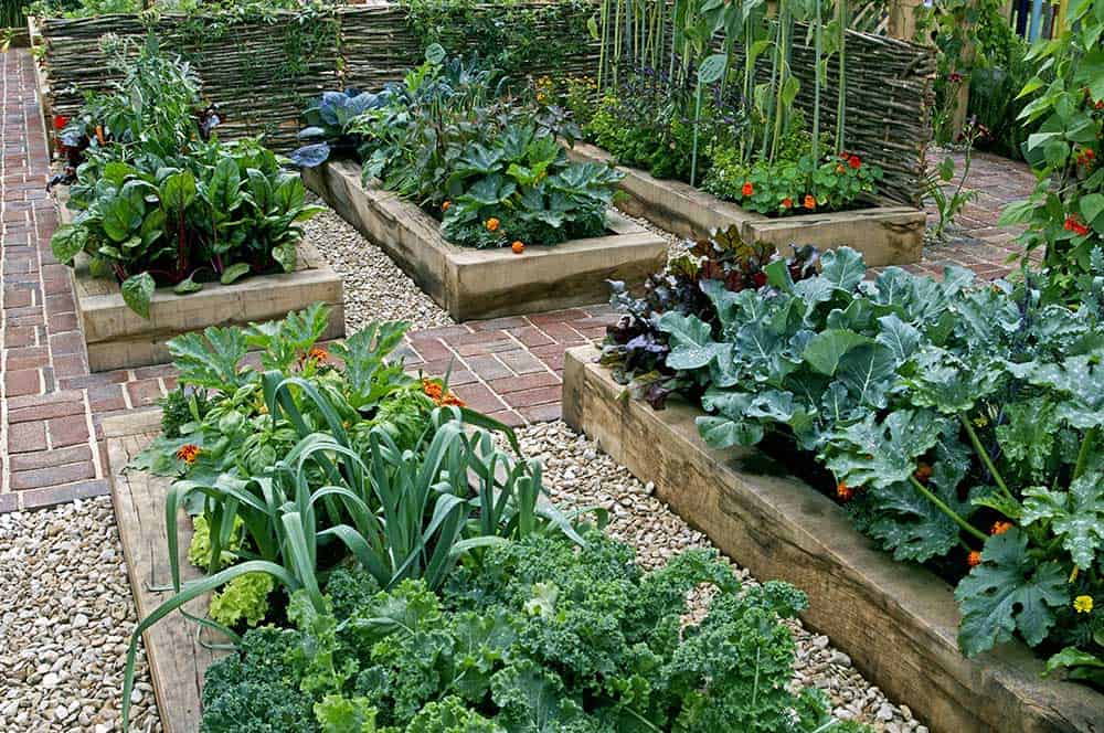 Wood raised garden beds