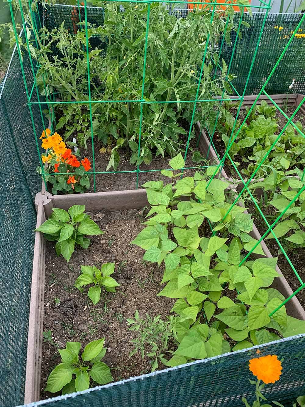 Prefab raised beds