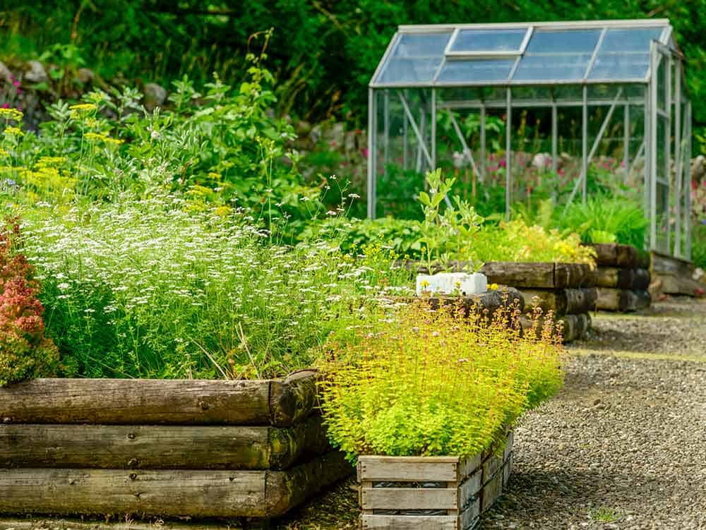 Gardening in raised beds