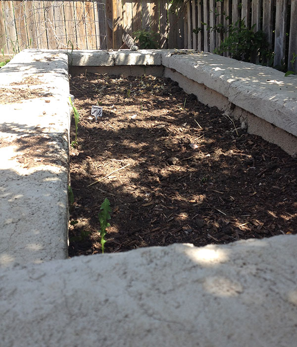 DIY raised garden beds