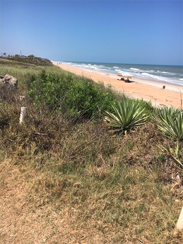 sand-dunes