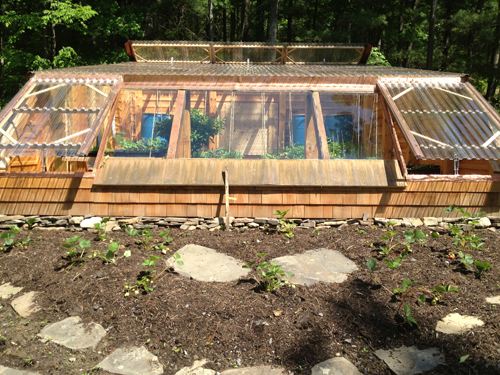 Sheltered Greenhouse South Wall Herb Bed (1)