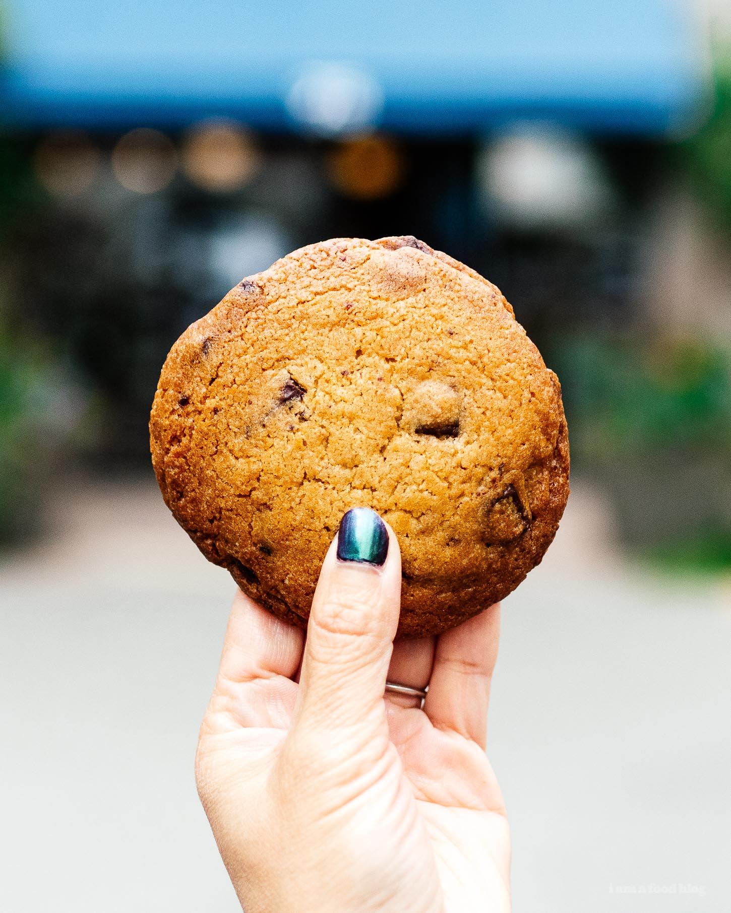 Standard Baking Co's famous Chocolate Chip Cookie | www.iamafoodblog.com