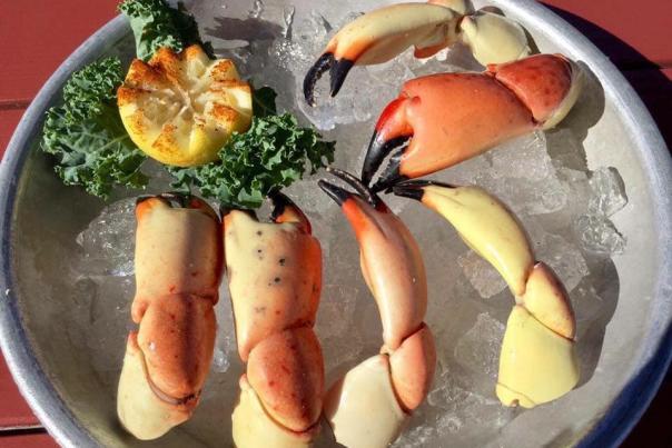 Stone Crab Golden Lion Cafe