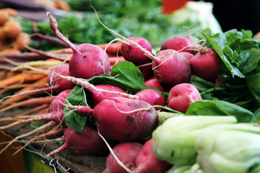 Storing homegrown veggies