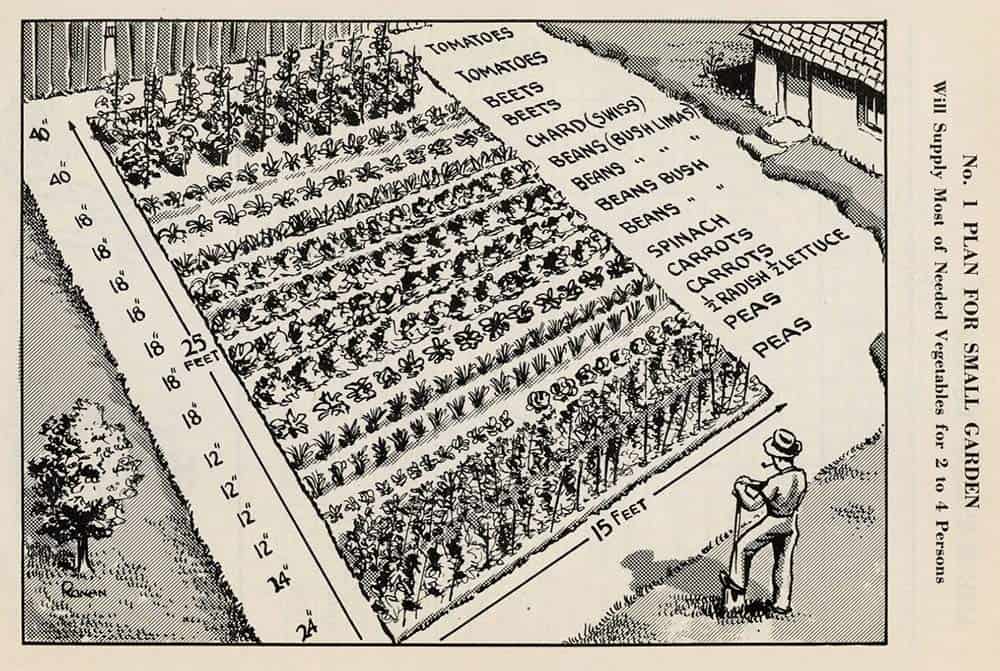 Victory garden plot