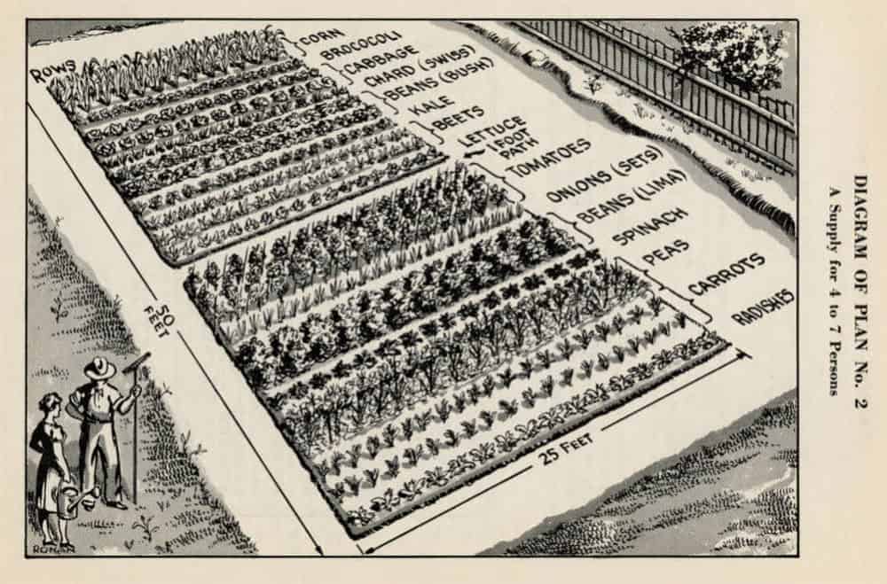 Victory garden plot