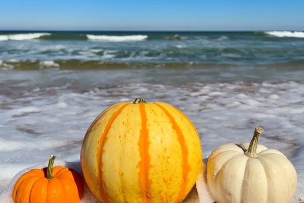 Flagler Beach Thanksgiving