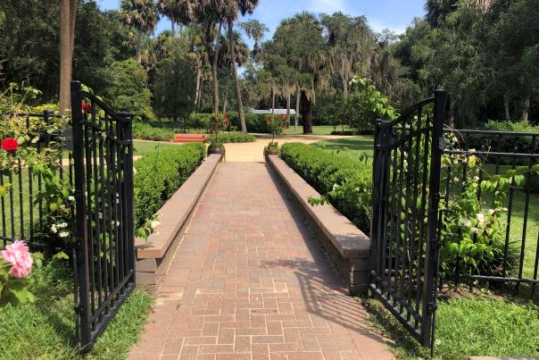 Beautiful Spots for a Walk in Palm Coast and the Flagler Beaches